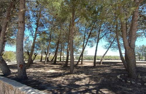 CASAS RURALES LA LAGUNA, ALPERA - Foto 8