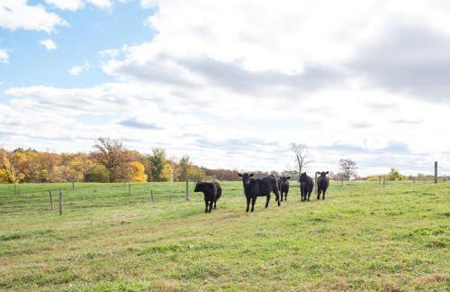 Cozy Cow Homestead with pool! - Foto 40