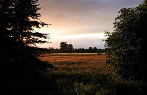 Gosciniec Pod Debem - Foto 12