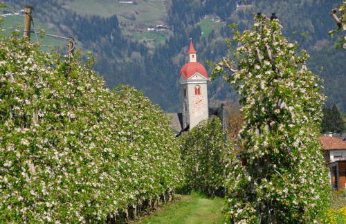 Stoanpeppelehof - Foto 19