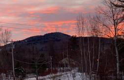 Brook Road Cabin - Foto 44