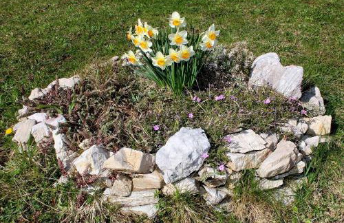 The Starlings Apartments Plitvice Lakes - Foto 98