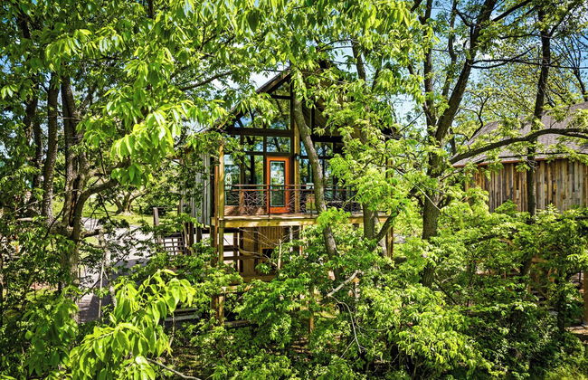 Fairway Treehouses - Foto 15