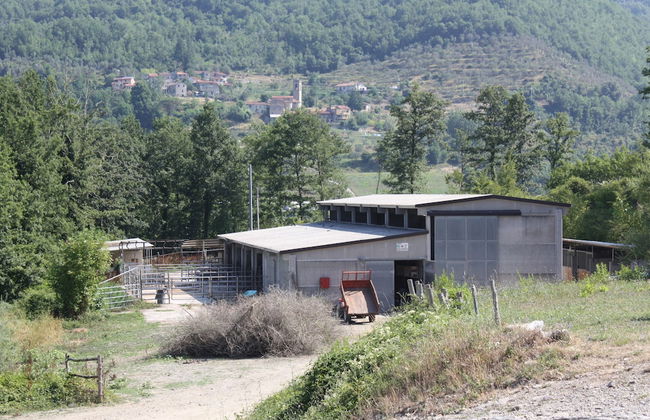 Le Chianine dei Tognoli - Foto 22