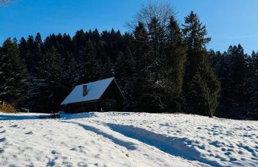 Na Świerkowym Strychu - Photo 6