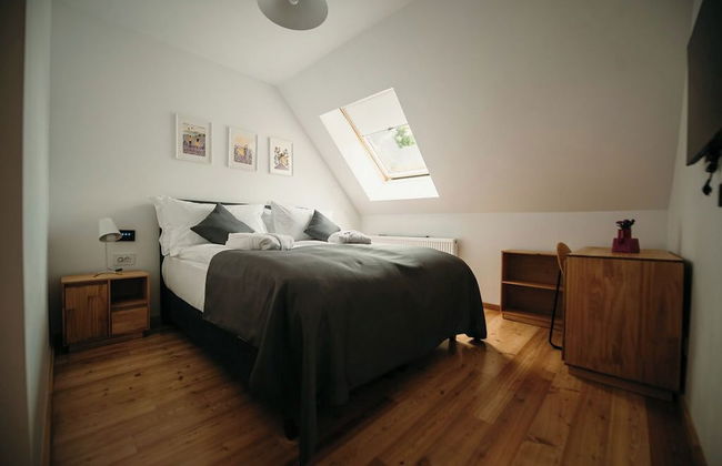 PurpleVague - Photo 11