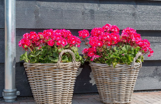 Family House Near Vrouwenpolder Beach - Photo 22