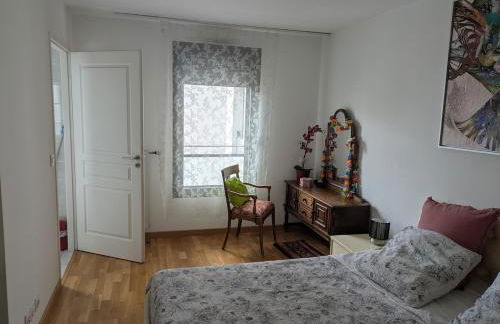 Beautiful flat around Geneva & its airport Palexpo - Photo 1