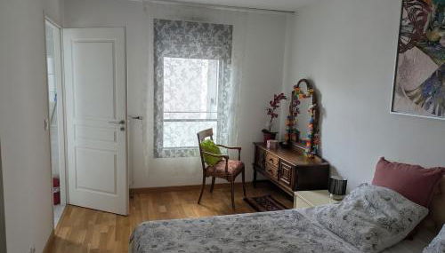 Beautiful flat around Geneva & its airport Palexpo - Photo 1