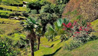 Rancho do Paioleiro - Foto 5, Garden, Garden view