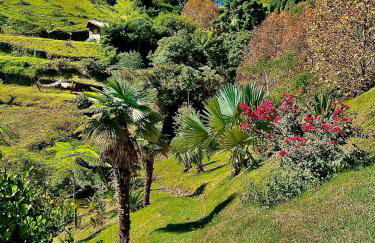 Rancho do Paioleiro - Foto 5