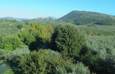 Country House with Pool in Nerola - Foto 24