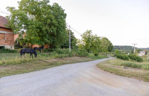 Kozline Kordun - Foto 75