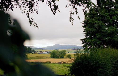 Seton - Uk32834 - Foto 9