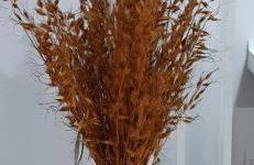 Flat no Centro - Foto 18