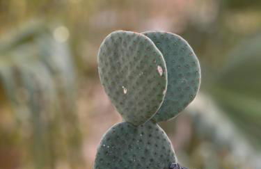 Casita Fuertencanto - Photo 24