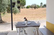 Quinta do Pinheirão - Foto 17