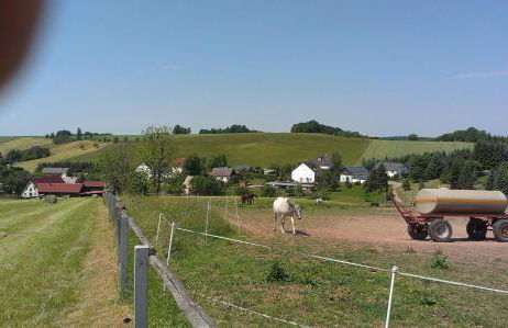 Dresden-Fewo-Huhle - Foto 10