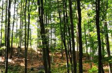 JAWORNICA HOUSE domek z pięknym widokiem - Foto 45