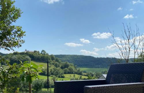 spa de nage et jacuzzi à Séverac d'Aveyron - Photo 2