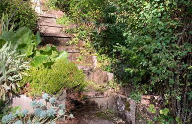 Schwarzwald-Oase für bis zu 10 Personen - Foto 40