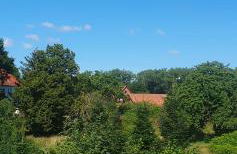 Lieblingsgast - Foto 30