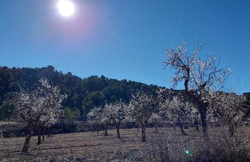 Hacienda Cabreras - Foto 79