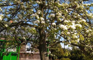 Agroturystyka Przy Wąwozie - Photo 25