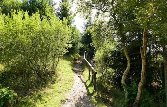 Ruhig Gelegenes Appartement in Niedersfeld - Foto 35