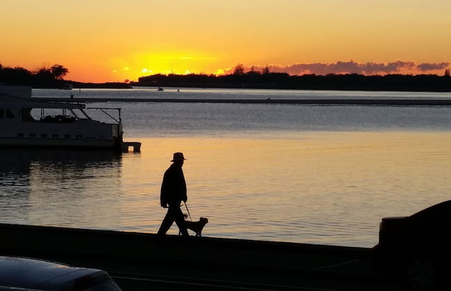 Beaconlea Tower Apartments - Photo 60