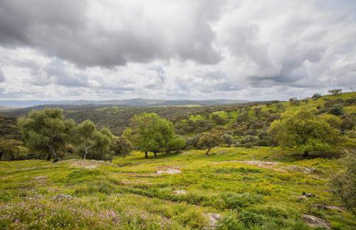 Finca la Arborea - Foto 24