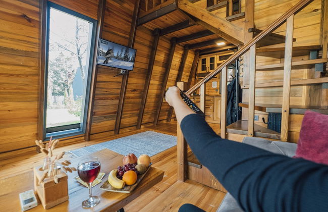 Dedeman Village Sapanca - Foto 28