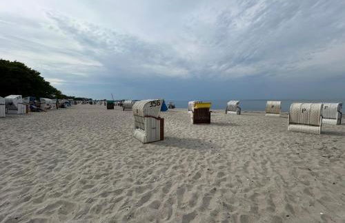 Toplage direkt an der Steilküste - FeWo 1 "Ostseenest" Hohwacht - Foto 20