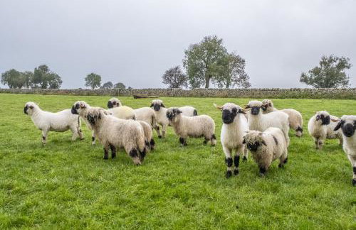 Swallows Nest - Photo 38