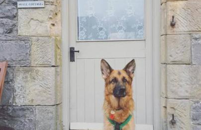 Wetton Barns Holiday Cottages - Foto 52