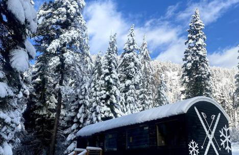 The SKI HAUS A Montana Tiny Cabin Forest Retreat - Foto 10