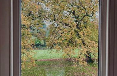 Arnewood Manor - Foto 9