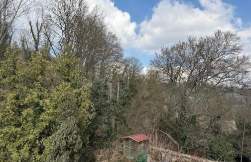 Schloss Zingst - Foto 70