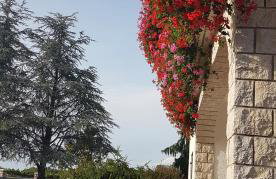 Holiday Apartment VILLA BIANCA - Photo 23