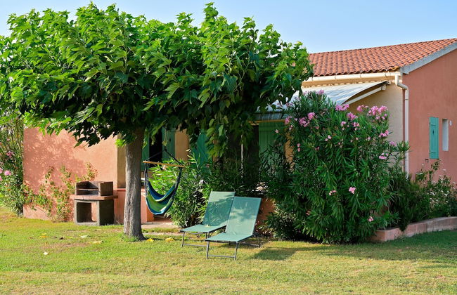 Pinea Mare - Foto 16