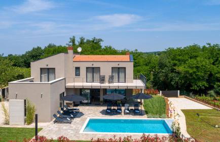 Beautiful villa Perlin with pool in Visnjan - Photo 11