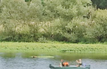 PETIT MAS COSY DU BORD DE LOIRE a 15 MM DU PARC LE PAL - Foto 33