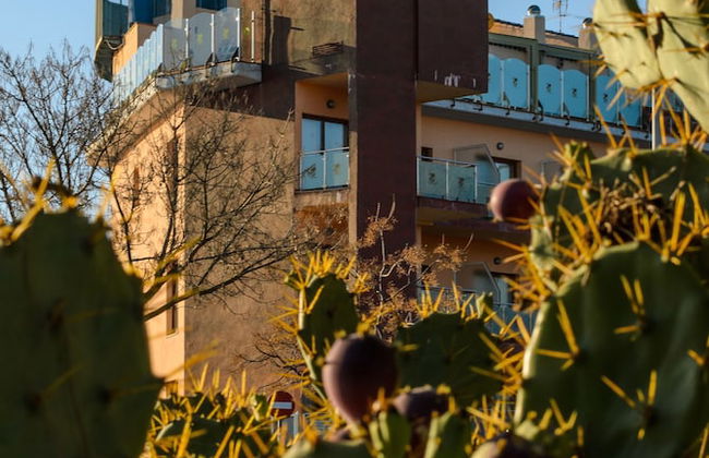 Hotel Apartamento Martín Alonso Pinzón - Photo 57
