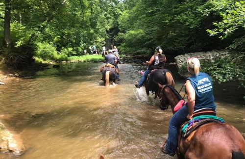 Family-Friendly 3BR Home w Bunk Room & Yard - Photo 63