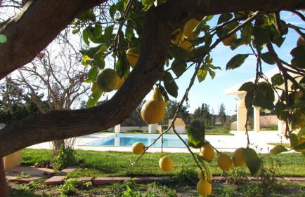 Villa Bulcrini - Photo 37