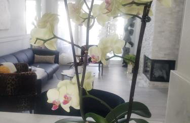 CLOUD NINE - Elegance & Comfort - Photo 20