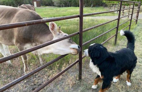 New! Lower Level Ranch Home - 10 mins to Town - Foto 29