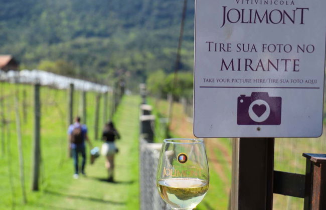 Ingresso da vinícola Jolimont - Foto 7