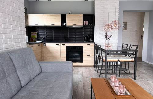 White View Rose - Photo 5