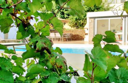 Villa D'Uvale Douro - Foto 12